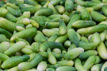 Cucumber is a nutritious fruit with a high water content, making it perfect for cooking.