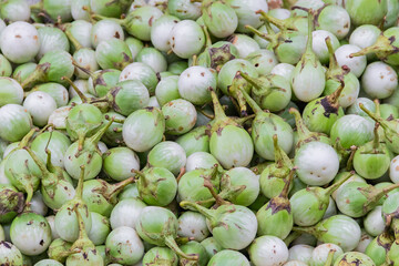 Fresh pile Thai eggplants or green brinjals in local market at Thailand.