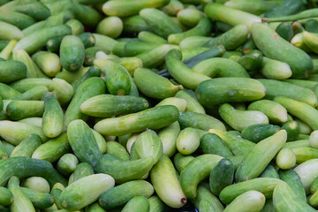 Cucumber is a nutritious fruit with a high water content, making it perfect for cooking.