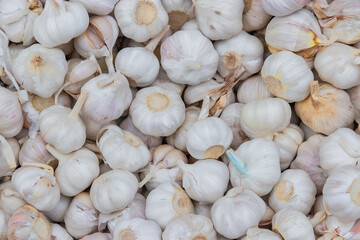 Pile of garlic with abstract shapes. Garlic for cooking seasoning.