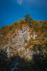 Geibikei gorge valley Japan, travel destinations in autumn or fall season, color of leaf in yellow, orange and green. Nature and mountain attraction view. floating activity. Japan sightseeing.
