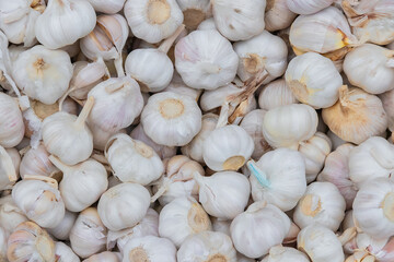 Pile of garlic with abstract shapes. Garlic for cooking seasoning.