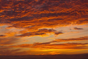 Fototapeta premium sin titulo