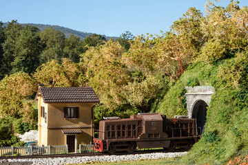 Modello ferroviario su diorama realistico e paesaggio naturale.