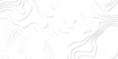 Abstract wavy line 3d paper cut white background. Topographic canyon geometric map relief texture with curved layers and shadow.