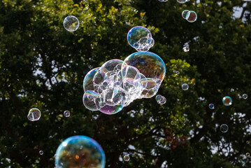 Soap Bubbles Floating in Front of Lush Green Trees and green background