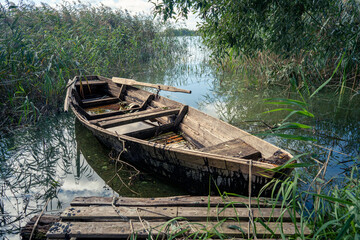 An old wooden boat, long forgotten, rests peacefully in a tranquil marsh, surrounded by vibrant lush greenery