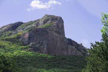 Crimea, Mountain landscape with forest