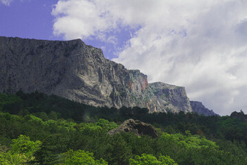 Crimea, Mountain landscape with forest