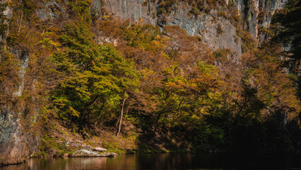 Geibikei gorge valley Japan, travel destinations in autumn or fall season, color of leaf in yellow, orange and green. Nature and mountain attraction view. floating activity. Japan sightseeing.