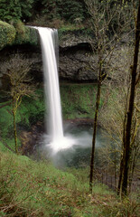 Forest Waterfall from Above