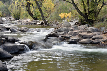 Gentle Rapids and Autumn Trees