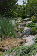 Crimea, Yalta, Japanese garden with cascading stream