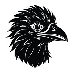 Obraz premium Big bird's head vector silhouette with a white background