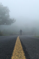 silhueta de homem caminhando em estrada com neblina  - na estrada da graciosa, paraná 