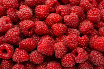 Tasty fresh raspberry as a background.