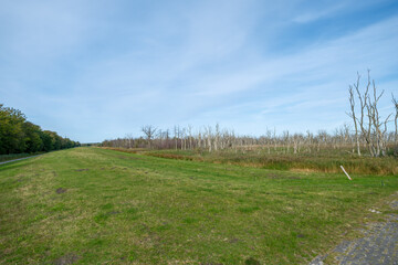 Sundische Wiese im Nationalpark Vorpommersche Boddenlandschaft auf Fischland Darss Zingst in Meckelnburg Vorpommern