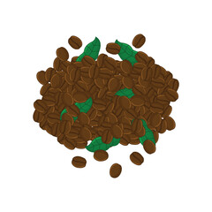 roasted coffee bean vector illustration