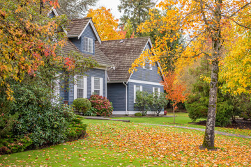 Two story stucco luxury house with garage door, big tree and nice Fall foliage landscape in...
