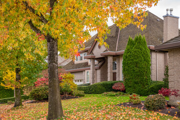 Two story stucco luxury house with garage door, big tree and nice Fall foliage landscape in Vancouver, Canada, North America. Day time on November 2024.