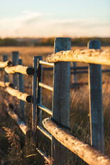 rusty iron fence
