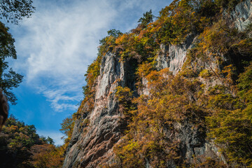 Geibikei gorge valley Japan, travel destinations in autumn or fall season, color of leaf in yellow, orange and green. Nature and mountain attraction view. floating activity. Japan sightseeing.