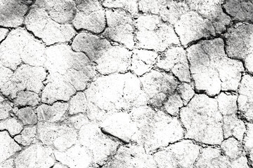 Texture soil dry crack background pattern of drought lack of water of nature white black old broken.