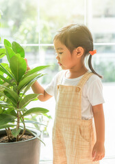 Little girl exploring houseplants in a sunlit room