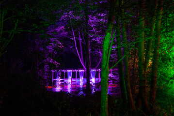 Night time Forest with Colored Lights and Water Features at Robin Hill in the Isle Of Wight