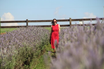 mulher em campo de lavanda em carambeí, paraná 