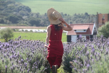 mulher em campo de lavanda em carambeí, paraná 