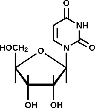 Nucleoside uridine structural formula, RNA component vector illustration

