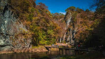 Fototapeta premium Geibikei gorge valley Japan, travel destinations in autumn or fall season, color of leaf in yellow, orange and green. Nature and mountain attraction view. floating activity. Japan sightseeing.