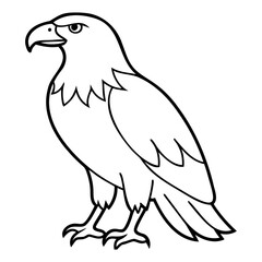 Eagle Bird Vector outline or Line art Black Silhouette isolated on transparent background