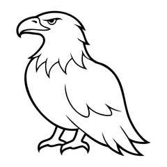 Eagle Bird Vector outline or Line art Black Silhouette isolated on transparent background