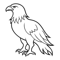 Fototapeta premium Eagle Bird Vector outline or Line art Black Silhouette isolated on transparent background