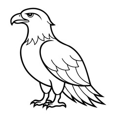 Eagle Bird Vector outline or Line art Black Silhouette isolated on transparent background