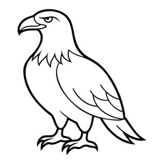 Eagle Bird Vector outline or Line art Black Silhouette isolated on transparent background