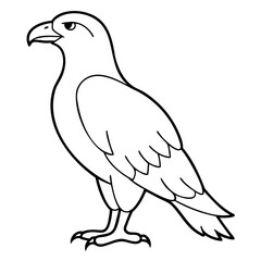 Eagle Bird Vector outline or Line art Black Silhouette isolated on transparent background