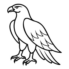 Eagle Bird Vector outline or Line art Black Silhouette isolated on transparent background