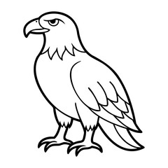 Eagle Bird Vector outline or Line art Black Silhouette isolated on transparent background