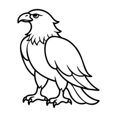 Eagle Bird Vector outline or Line art Black Silhouette isolated on transparent background