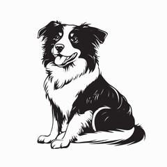Fototapeta premium Australian Shepherd Dog Vector Images. black and white Australian Shepherd Dog