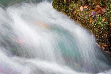 Close up of moving water next to a moss covered river bank
