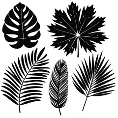 collection of four black silhouettes of different types of leaves