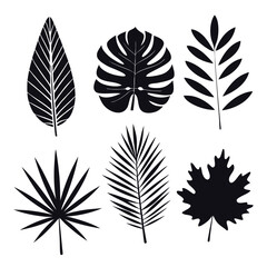 collection of four black silhouettes of different types of leaves