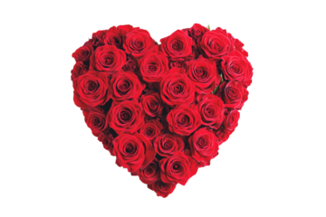 Heart made of red roses isolated on transparent or white background, valentine's day or wedding flowers love wreath, png
