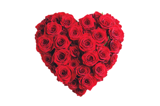 Heart made of red roses isolated on transparent or white background, valentine's day or wedding flowers love wreath, png