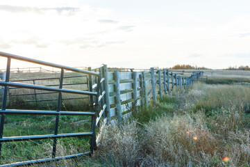 fence on a field
