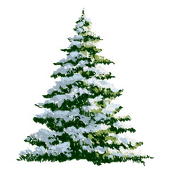 christmas tree snow isolated on white